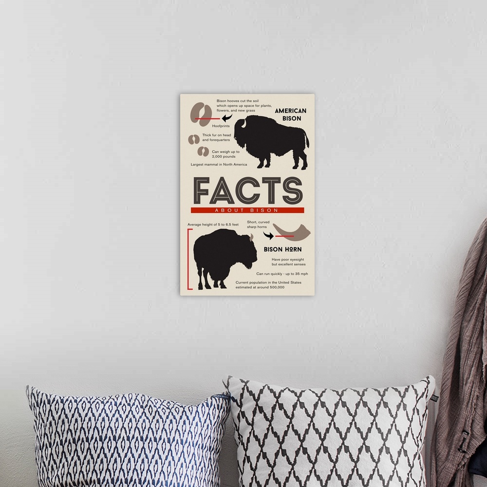 A bohemian room featuring Facts About Bison