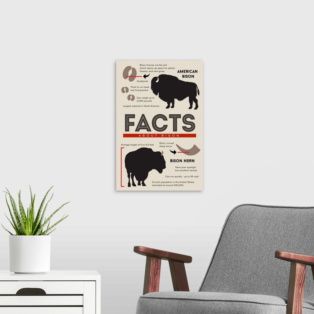 A modern room featuring Facts About Bison
