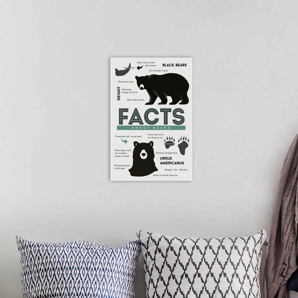 A bohemian room featuring Facts About Black Bears