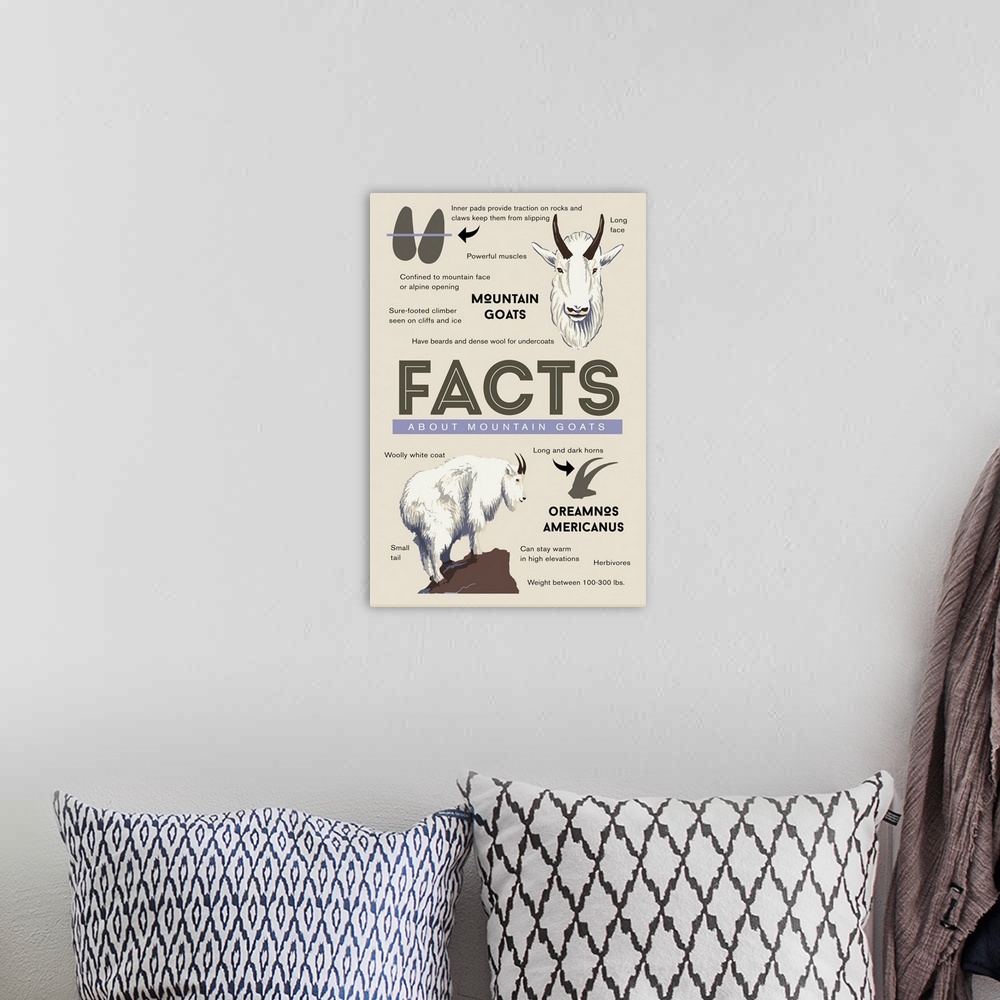 A bohemian room featuring Facts About Mountain Goats