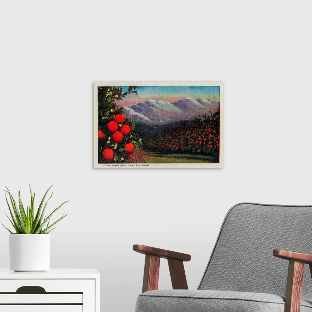 A modern room featuring Foothill Orange Grove in the Winter, California State