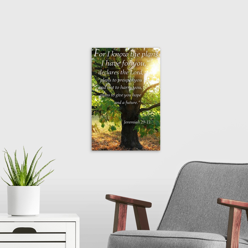A modern room featuring Jeremiah 29:11 - Inspirational