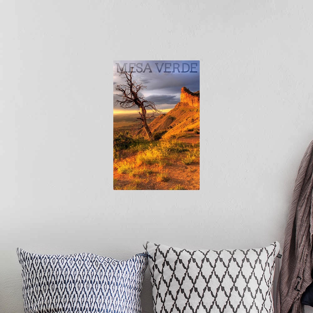 A bohemian room featuring Mesa Verde National Park, Colorado - Lone Tree Photograph