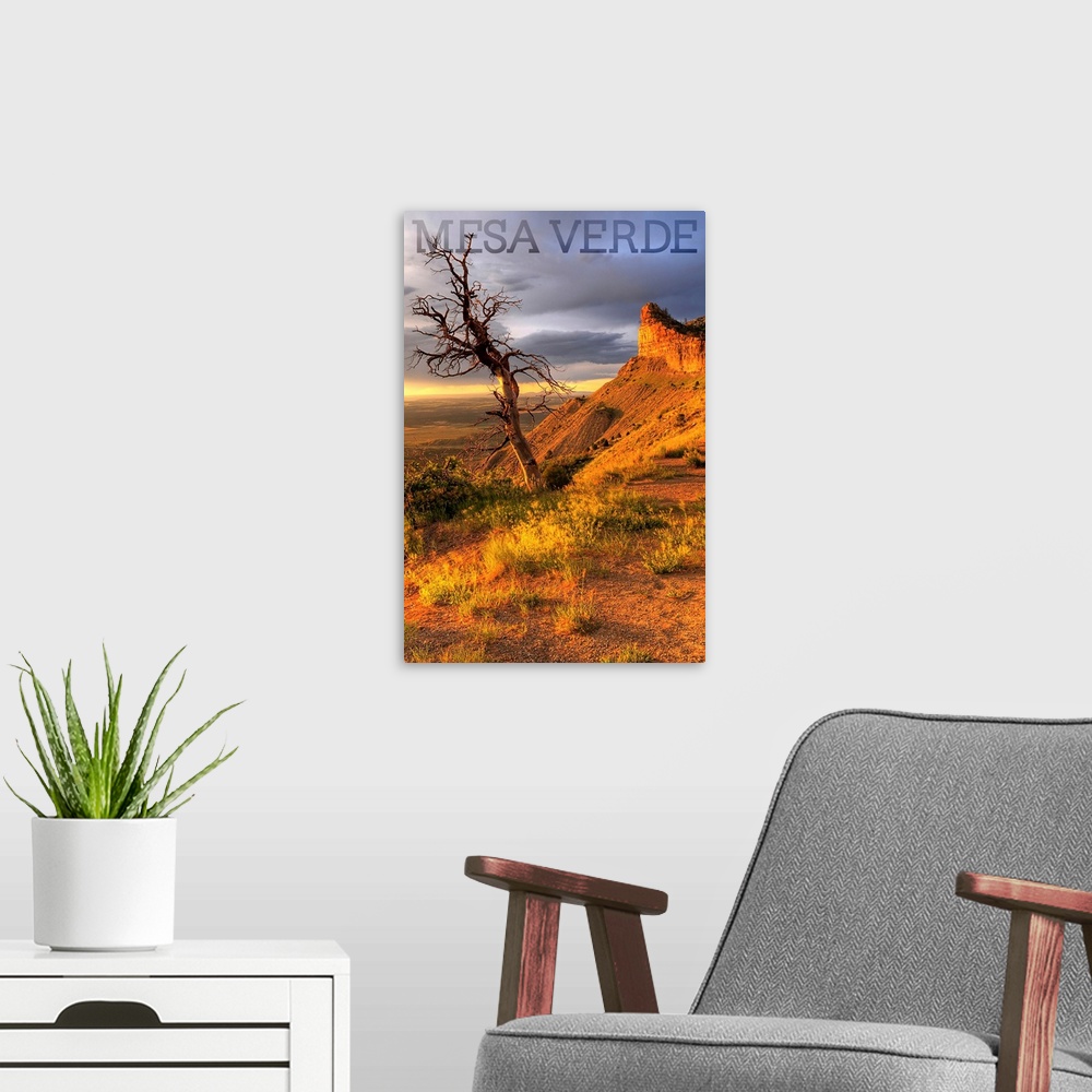 A modern room featuring Mesa Verde National Park, Colorado - Lone Tree Photograph