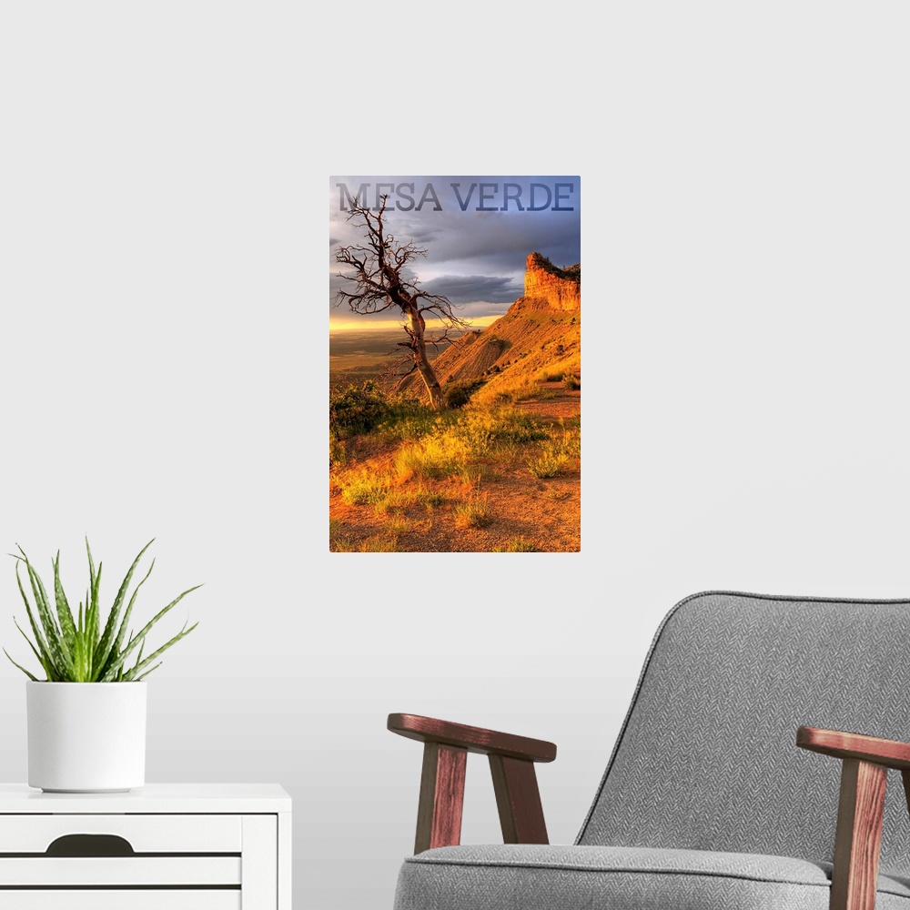 A modern room featuring Mesa Verde National Park, Colorado - Lone Tree Photograph
