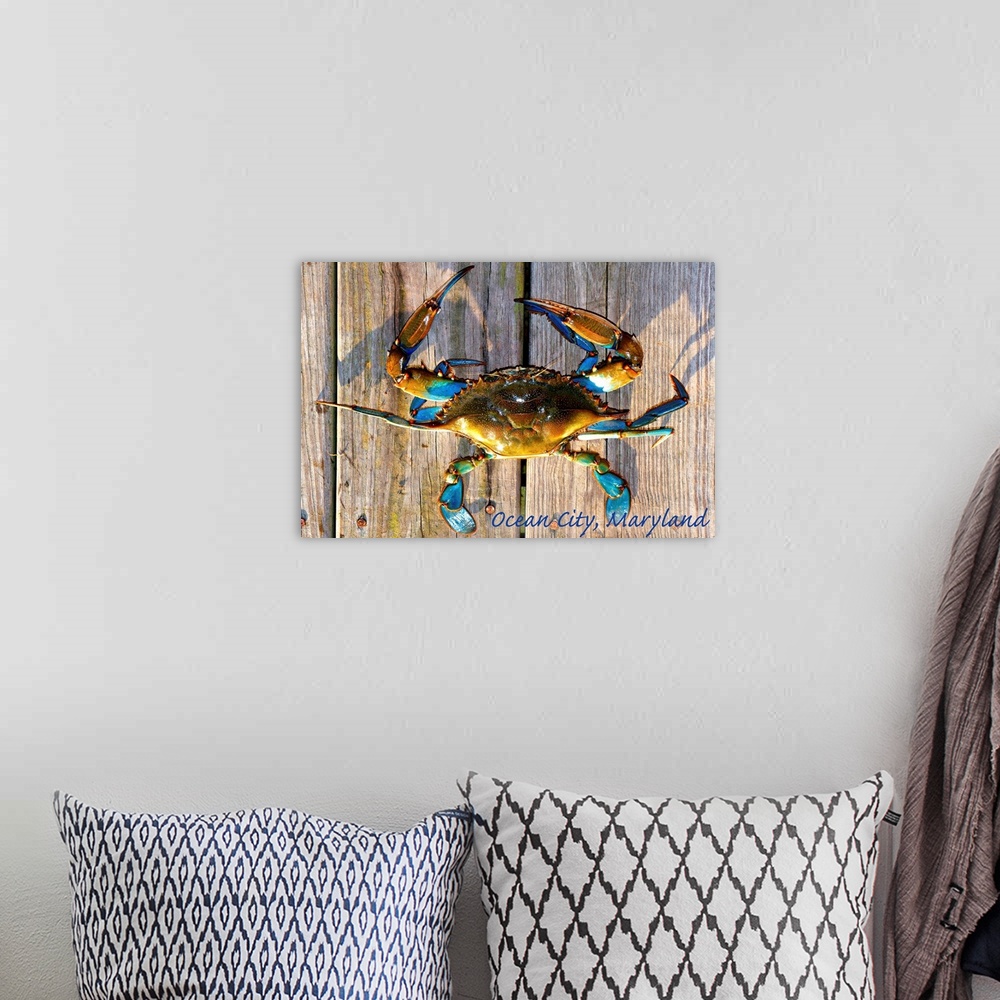 A bohemian room featuring Ocean City, Maryland, Blue Crab on Dock