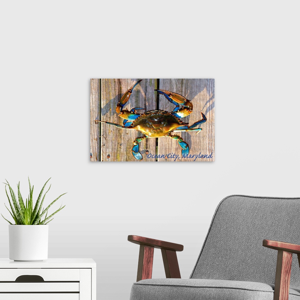 A modern room featuring Ocean City, Maryland, Blue Crab on Dock