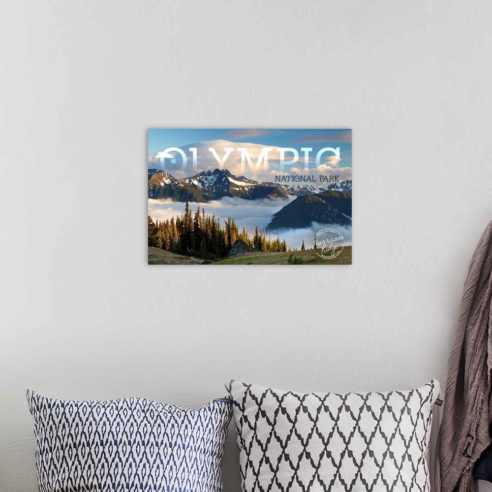 A bohemian room featuring Olympic National Park, Hurricane Ridge: Travel Poster