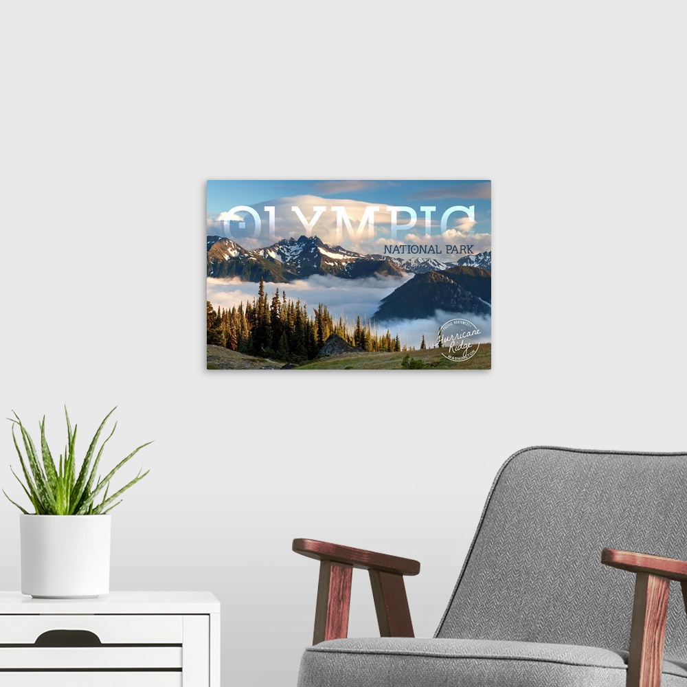 A modern room featuring Olympic National Park, Hurricane Ridge: Travel Poster