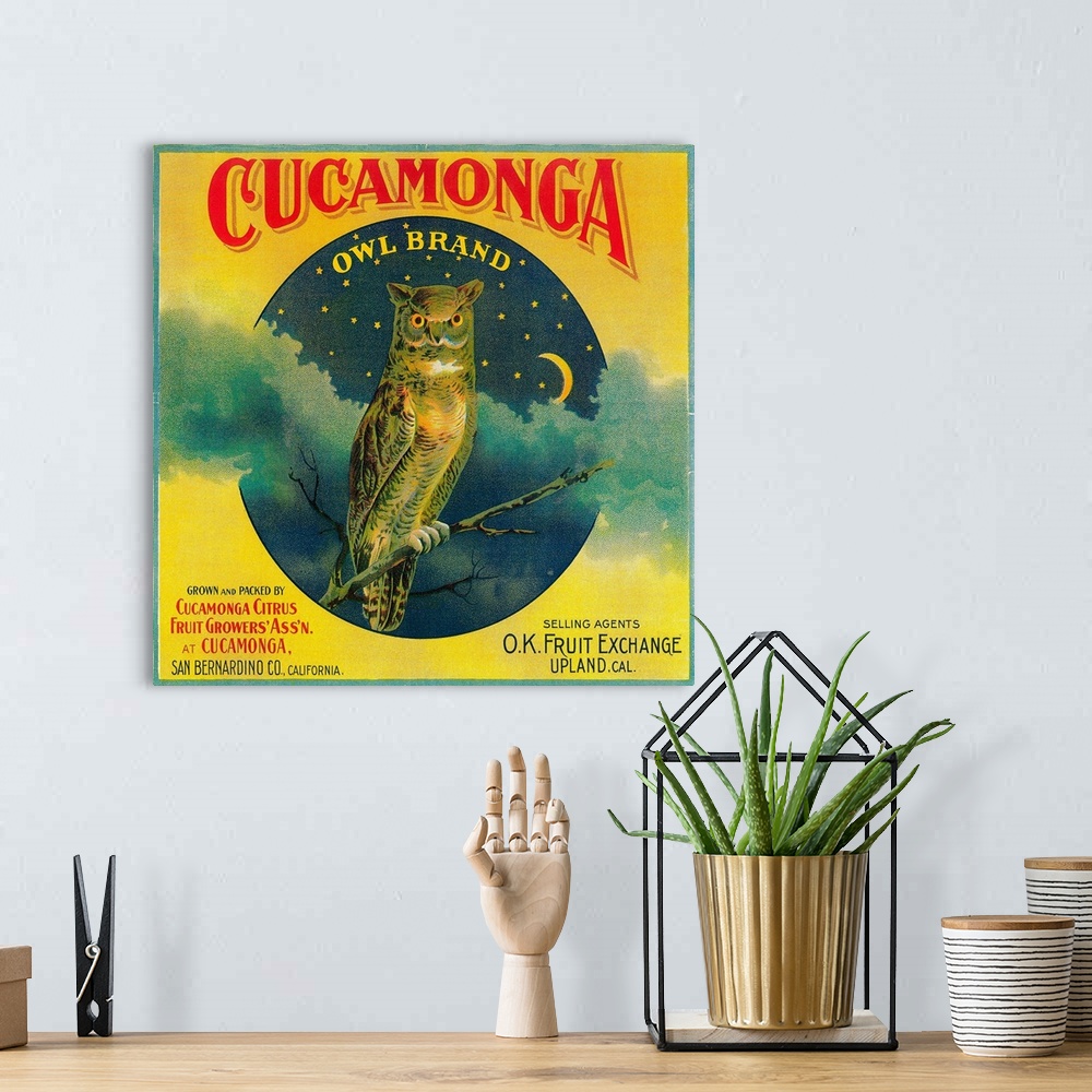 A bohemian room featuring Owl Orange Label, Cucamonga, CA