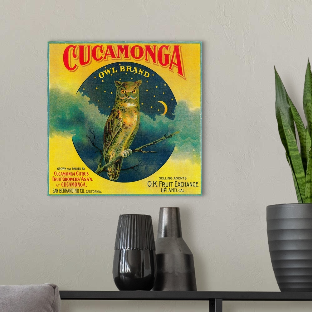 A modern room featuring Owl Orange Label, Cucamonga, CA