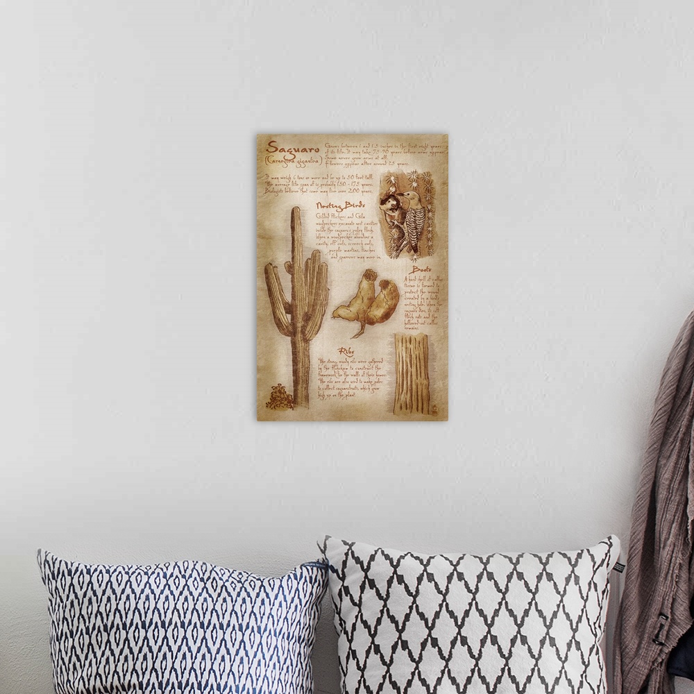 A bohemian room featuring Saguaro Cactus, da Vinci Style