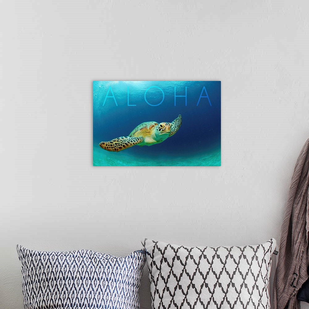 A bohemian room featuring Sea Turtle Swimming - Aloha