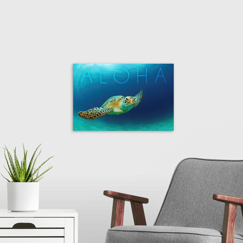 A modern room featuring Sea Turtle Swimming - Aloha