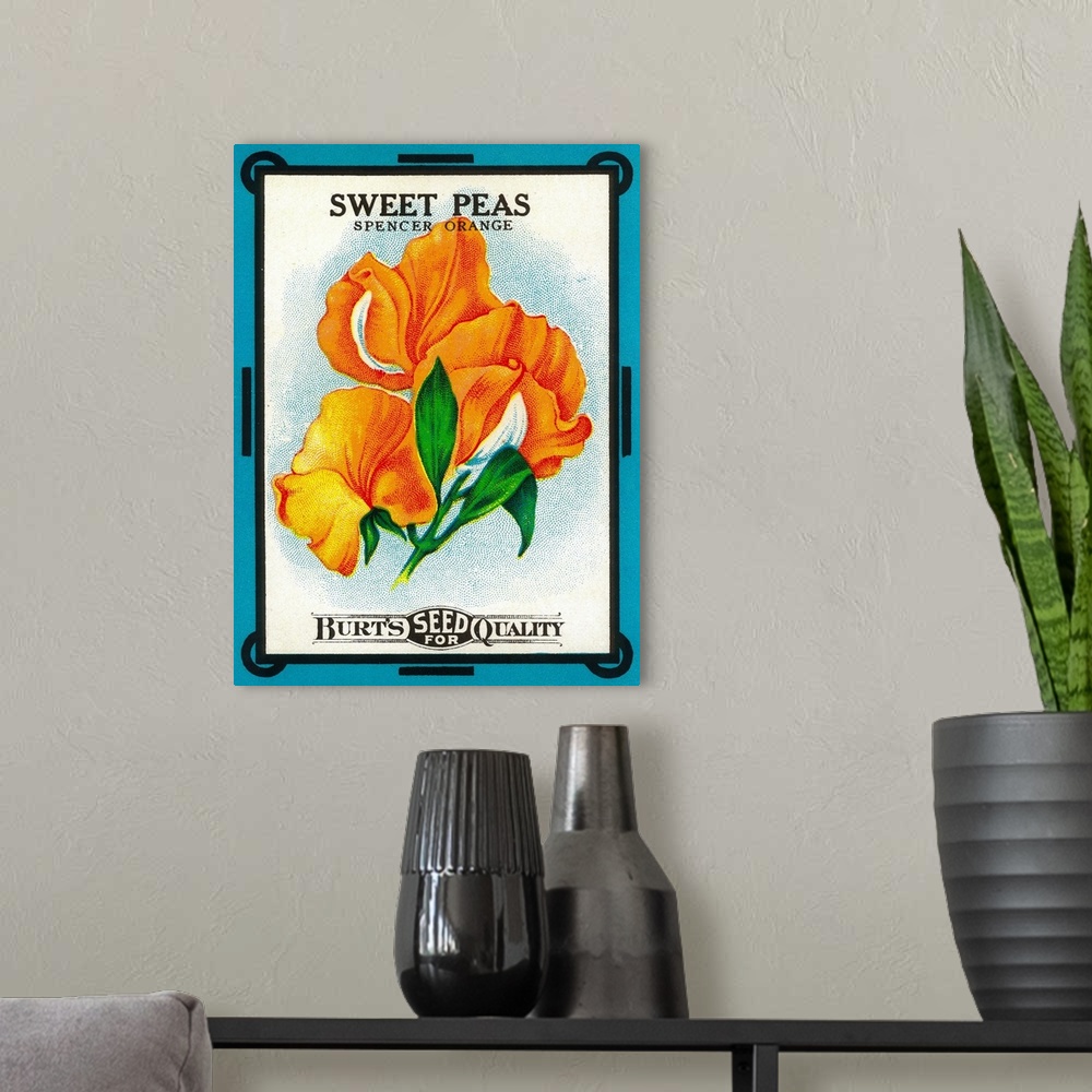 A modern room featuring A vintage label from a seed packet for sweet peas.