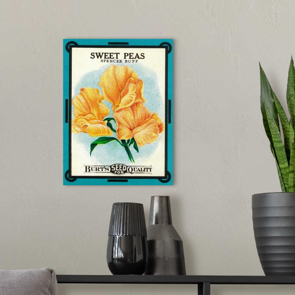 A modern room featuring A vintage label from a seed packet for sweet peas.