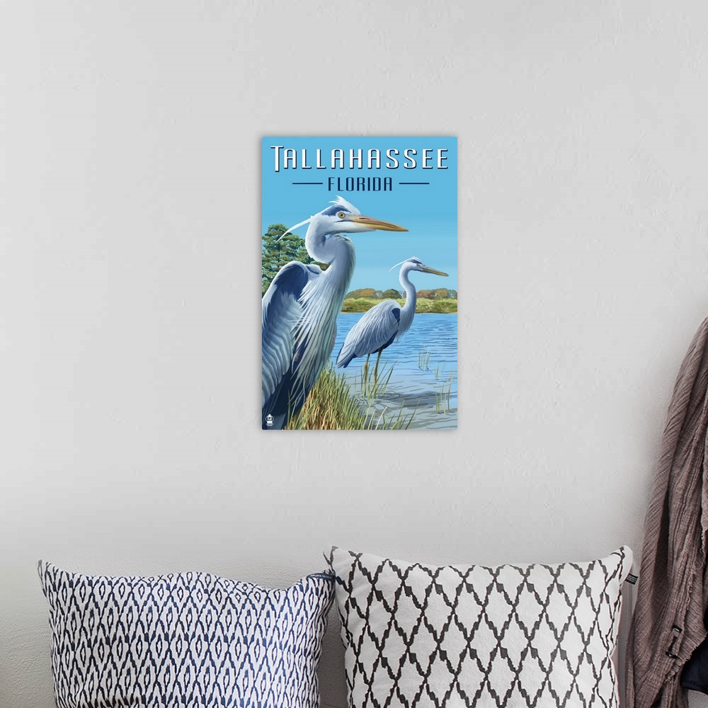 A bohemian room featuring Tallahassee, Florida, Blue Herons