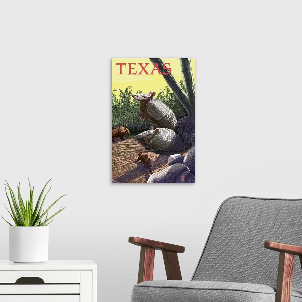 A modern room featuring Texas, Armadillo