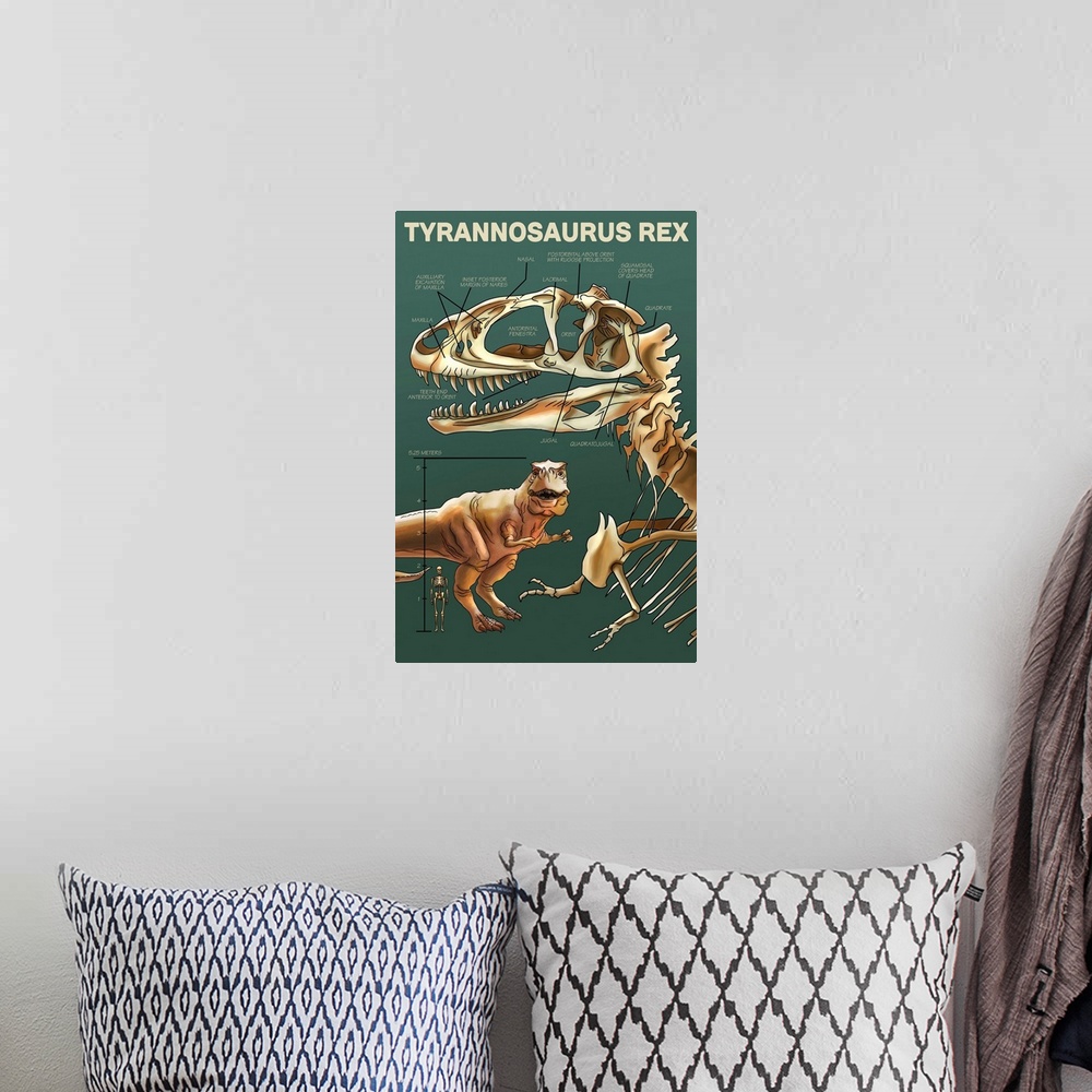 A bohemian room featuring Tyrannosaurus Rex Facts - Green