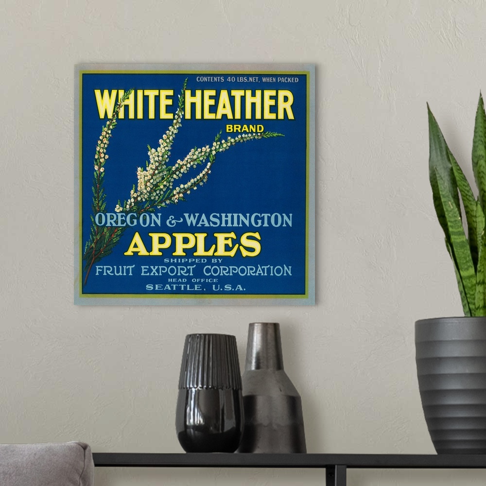 A modern room featuring White Heather Apple Label, Seattle, WA