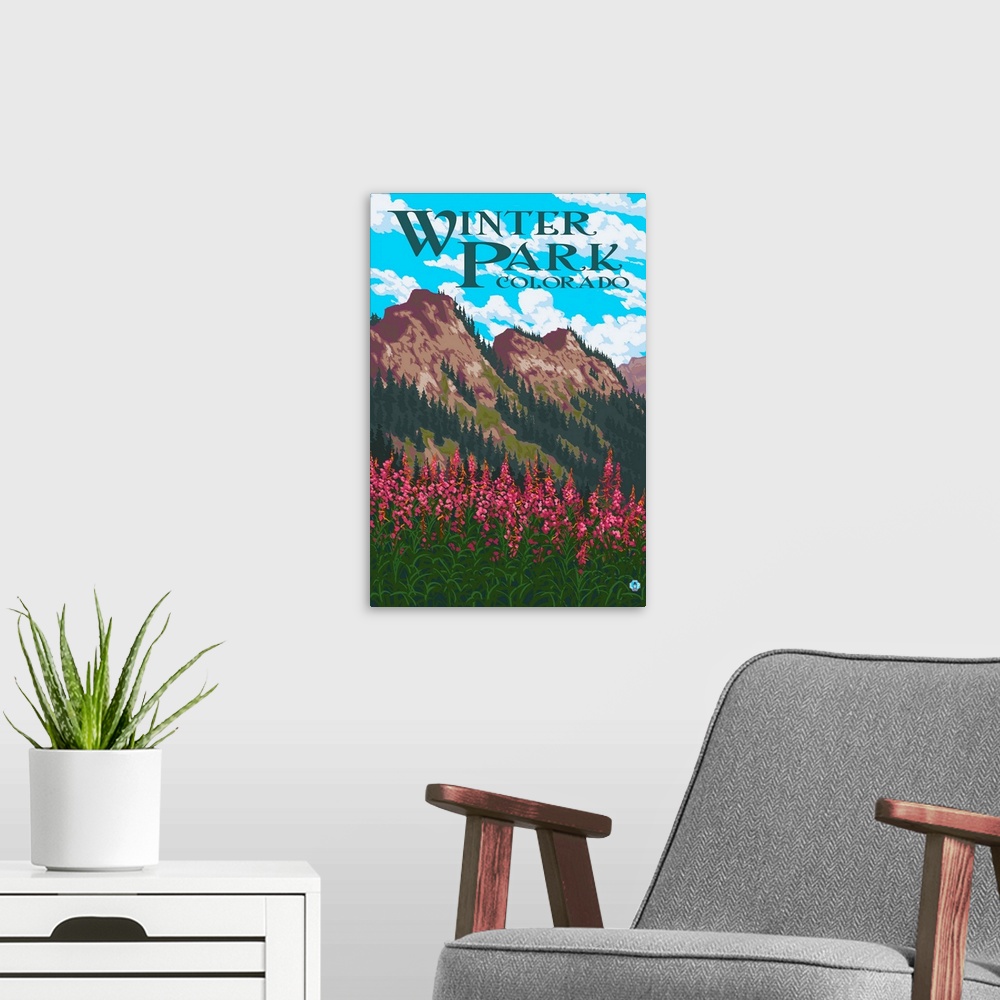 A modern room featuring Winter Park, Colorado, Fireweed and Mountains