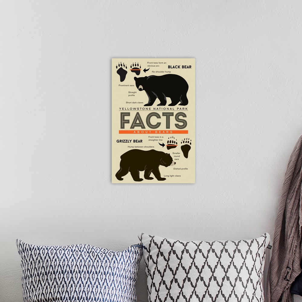 A bohemian room featuring Yellowstone National Park, Wyoming - Facts About Bears - Grizzly & Black Bear