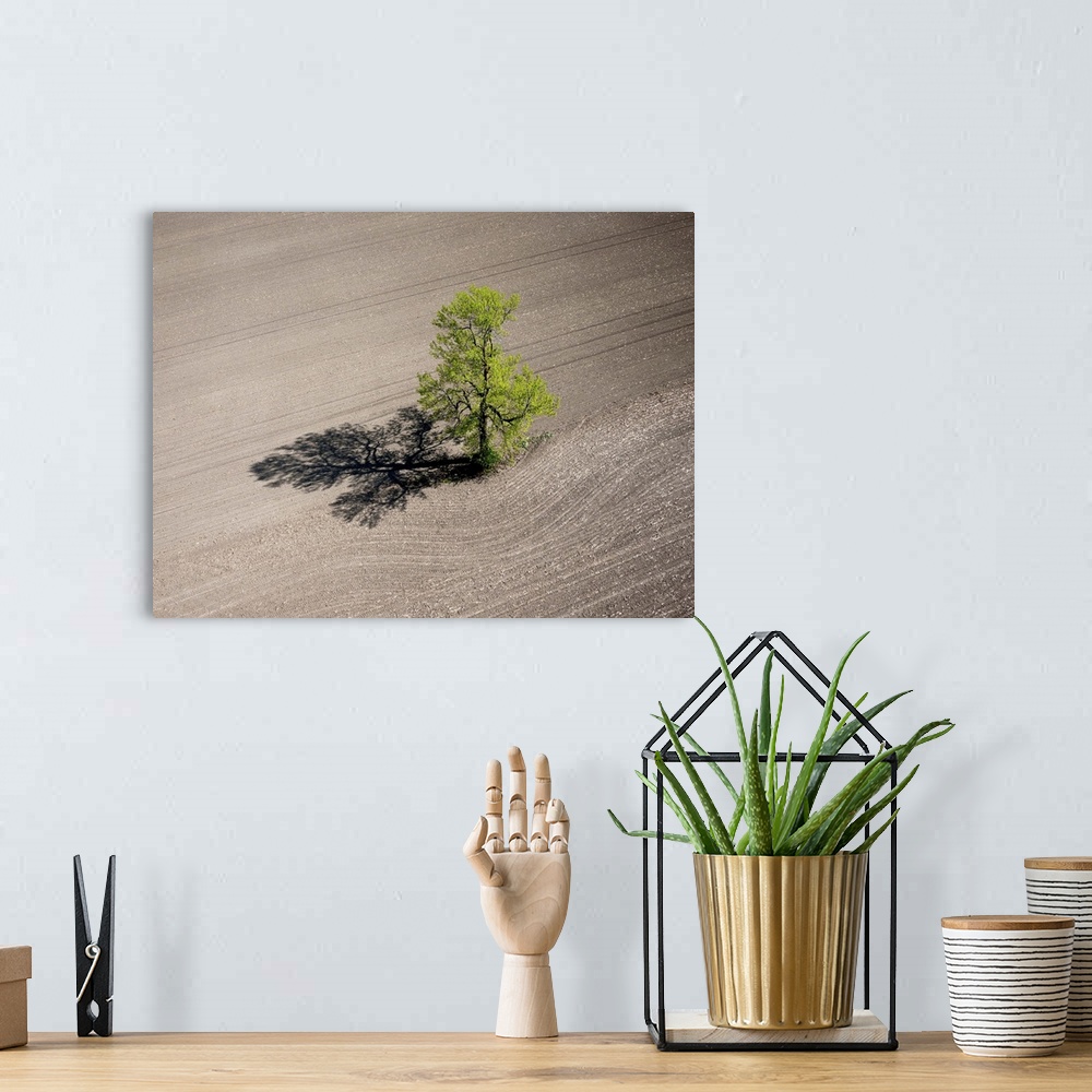 A bohemian room featuring Lonely Tree, Richmond, Canada - Aerial Photograph