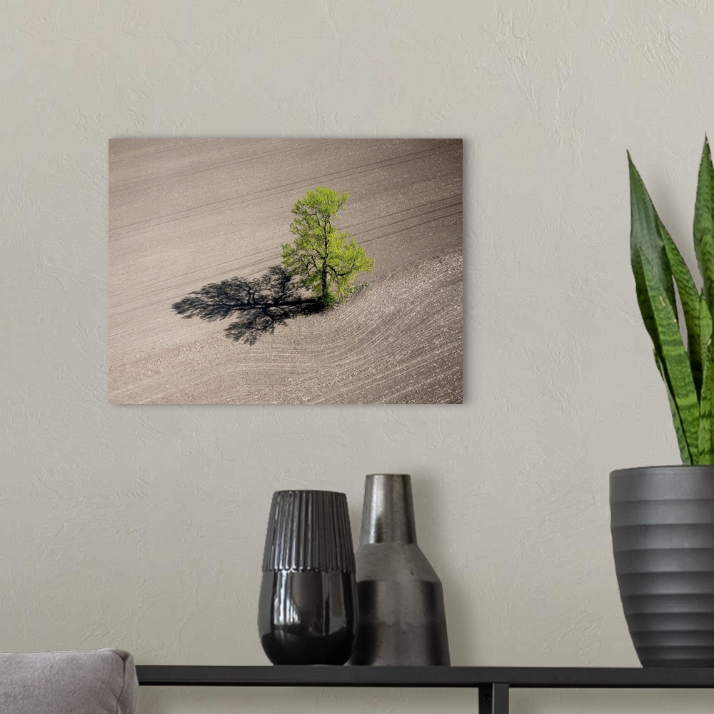 A modern room featuring Lonely Tree, Richmond, Canada - Aerial Photograph