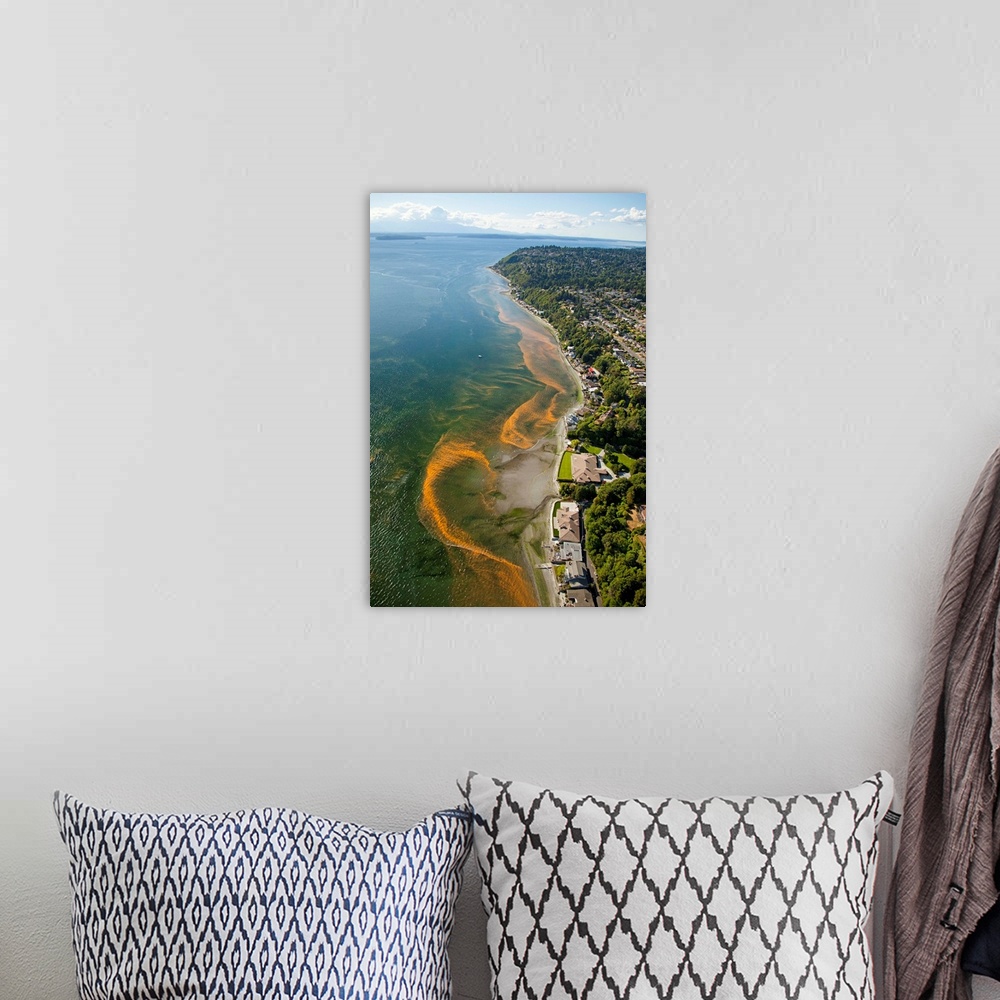A bohemian room featuring aerial photo of red tide blooms along the Puget Sound shoreline in the Normandy Park area south o...