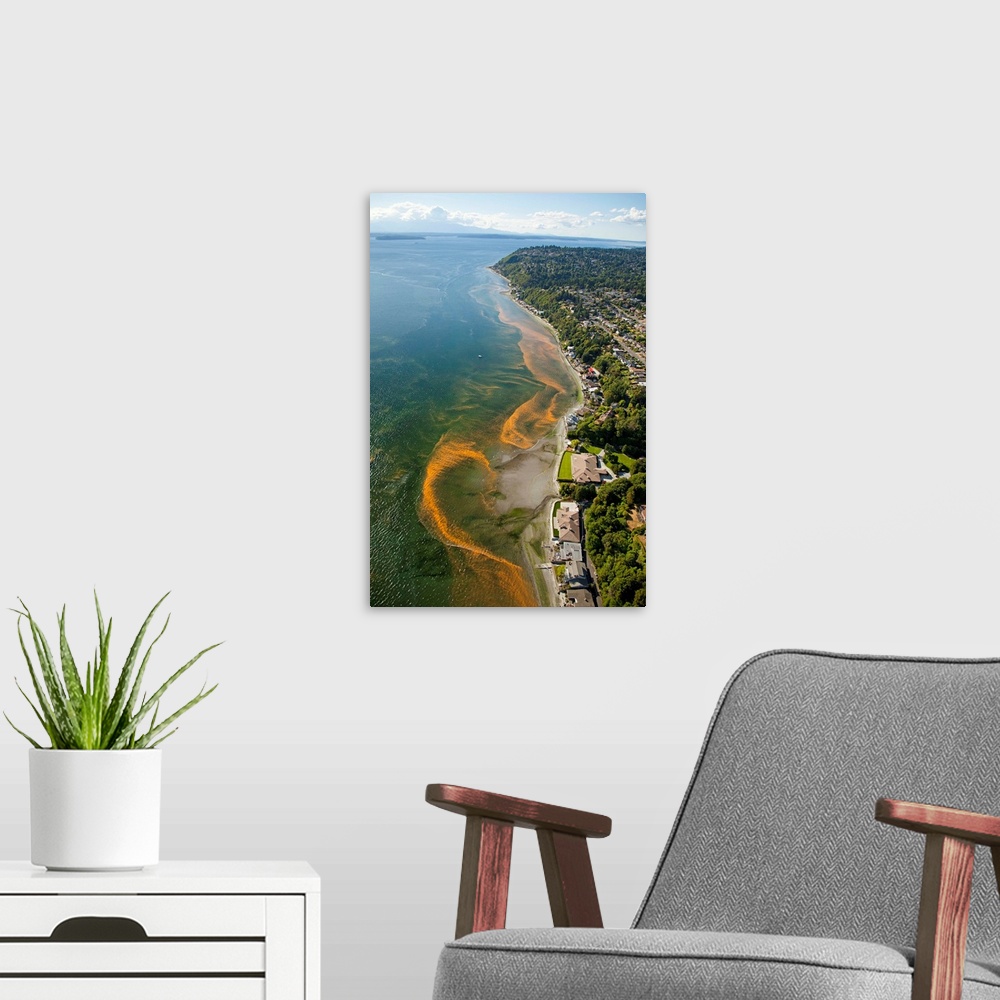 A modern room featuring aerial photo of red tide blooms along the Puget Sound shoreline in the Normandy Park area south o...