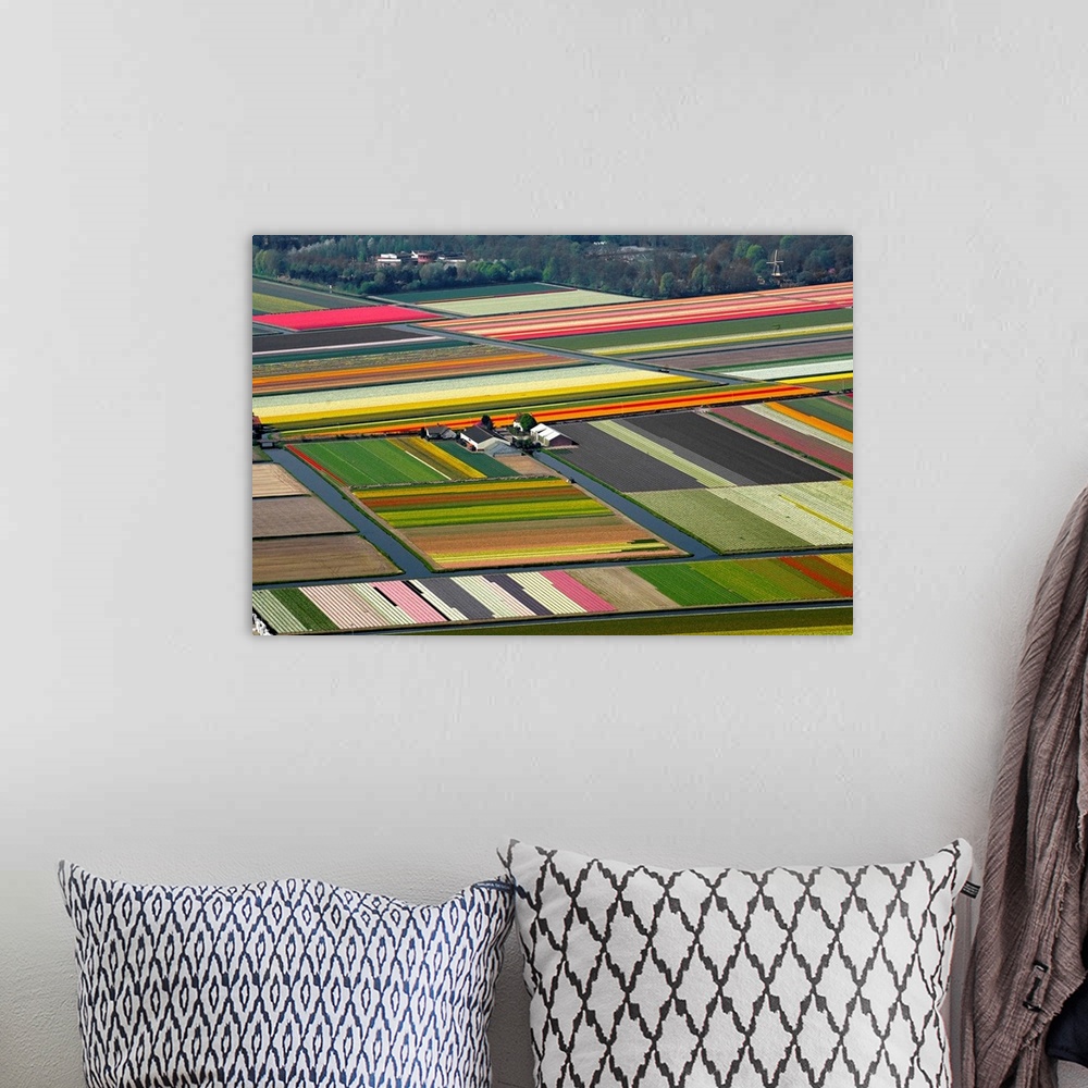 A bohemian room featuring Tulips Fields, Lisse, Holland - Aerial Photograph