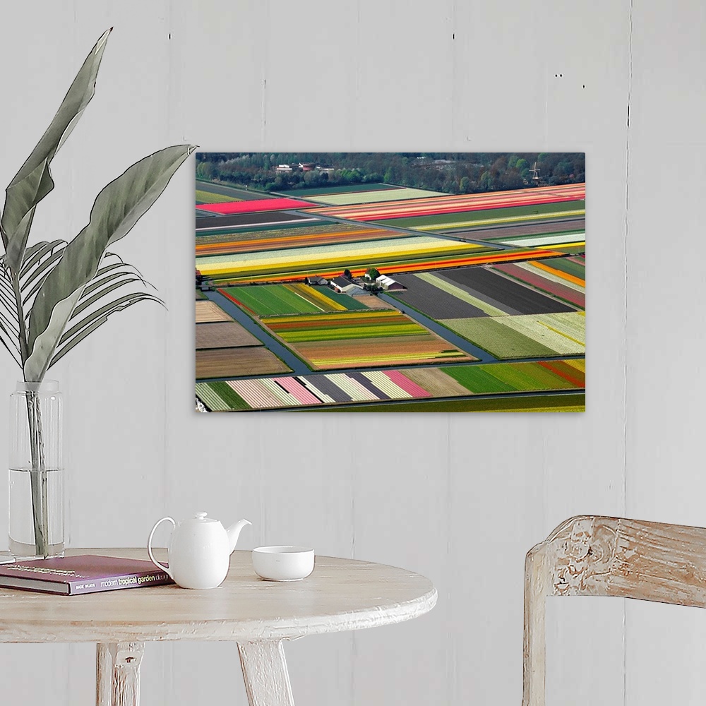 A farmhouse room featuring Tulips Fields, Lisse, Holland - Aerial Photograph