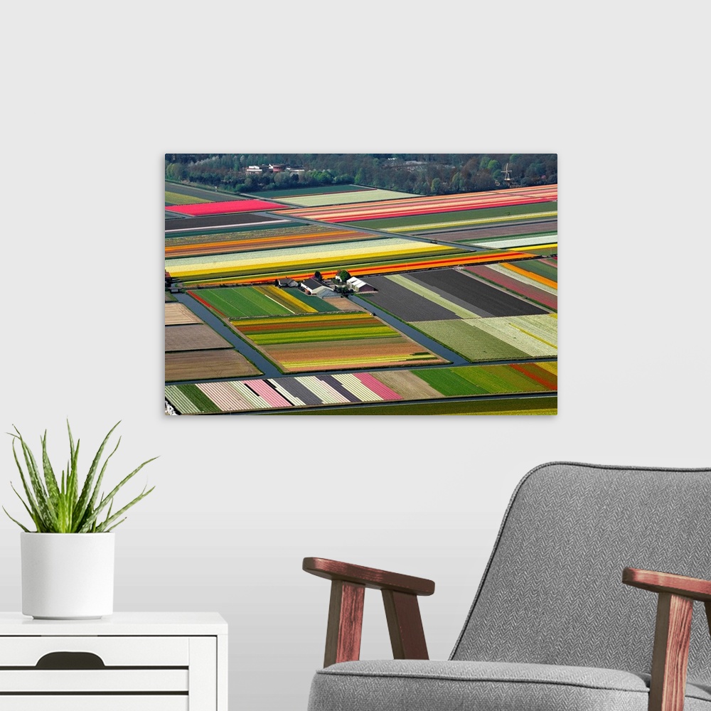 A modern room featuring Tulips Fields, Lisse, Holland - Aerial Photograph