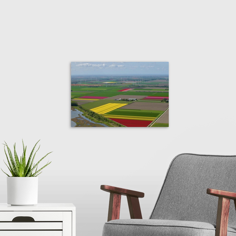 A modern room featuring Tulips Fields, Zeewolde - Aerial Photograph