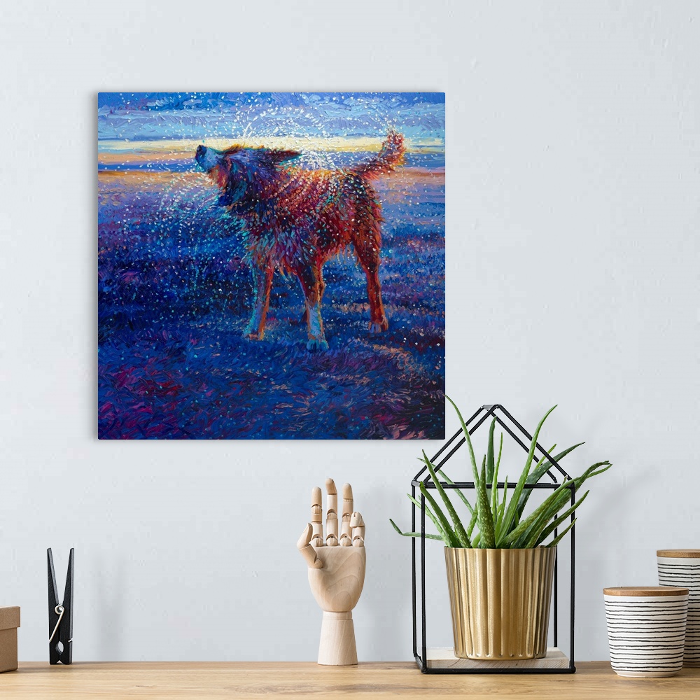 A bohemian room featuring Brightly colored contemporary artwork of a dog shaking off water in a field.