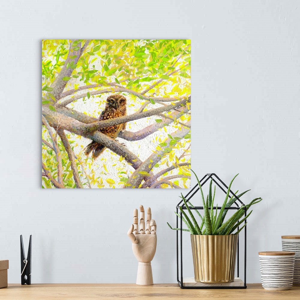 A bohemian room featuring Brightly colored contemporary artwork of an owl sitting in a tree.