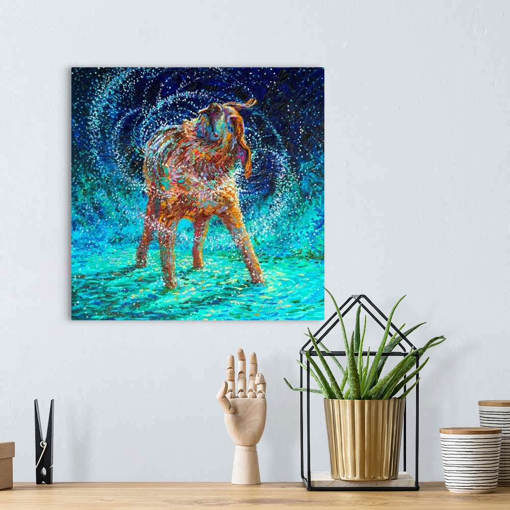 A bohemian room featuring Brightly colored contemporary artwork of an older dog shaking off water.