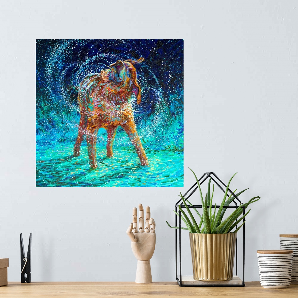 A bohemian room featuring Brightly colored contemporary artwork of an older dog shaking off water.