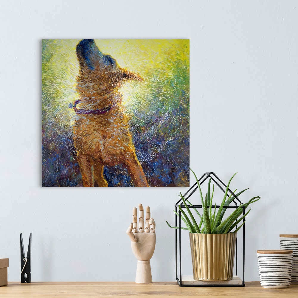 A bohemian room featuring Brightly colored contemporary artwork of a large dog shaking off water.