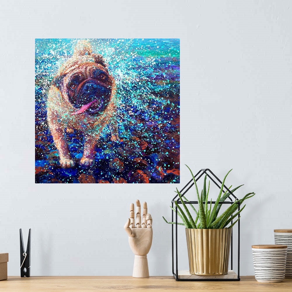 A bohemian room featuring Brightly colored contemporary artwork of a pug shaking off water.