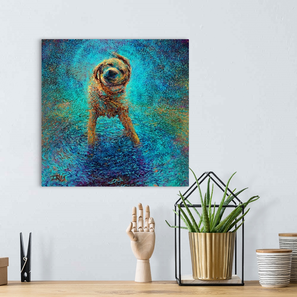 A bohemian room featuring Brightly colored contemporary artwork of a lab shaking off blue water.