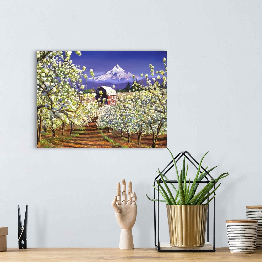 A bohemian room featuring An apple orchard in spring bloom. Mount Hood forms the backdrop.