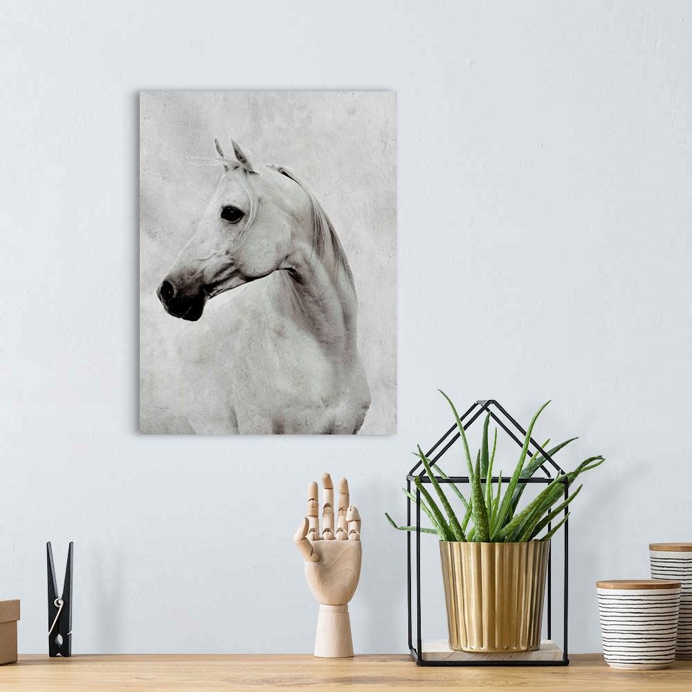 A bohemian room featuring White Horse
