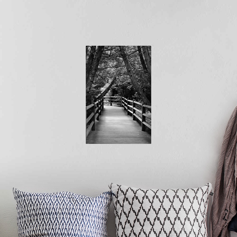 A bohemian room featuring Black and white photograph of a wood plank walkway through a cedar forest.