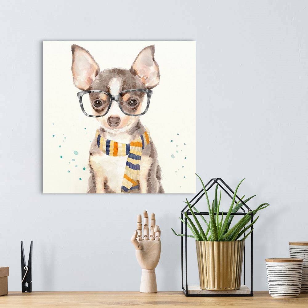A bohemian room featuring Adorable image of a chihuahua wearing red sunglasses and a scarf with light paint spatters throug...