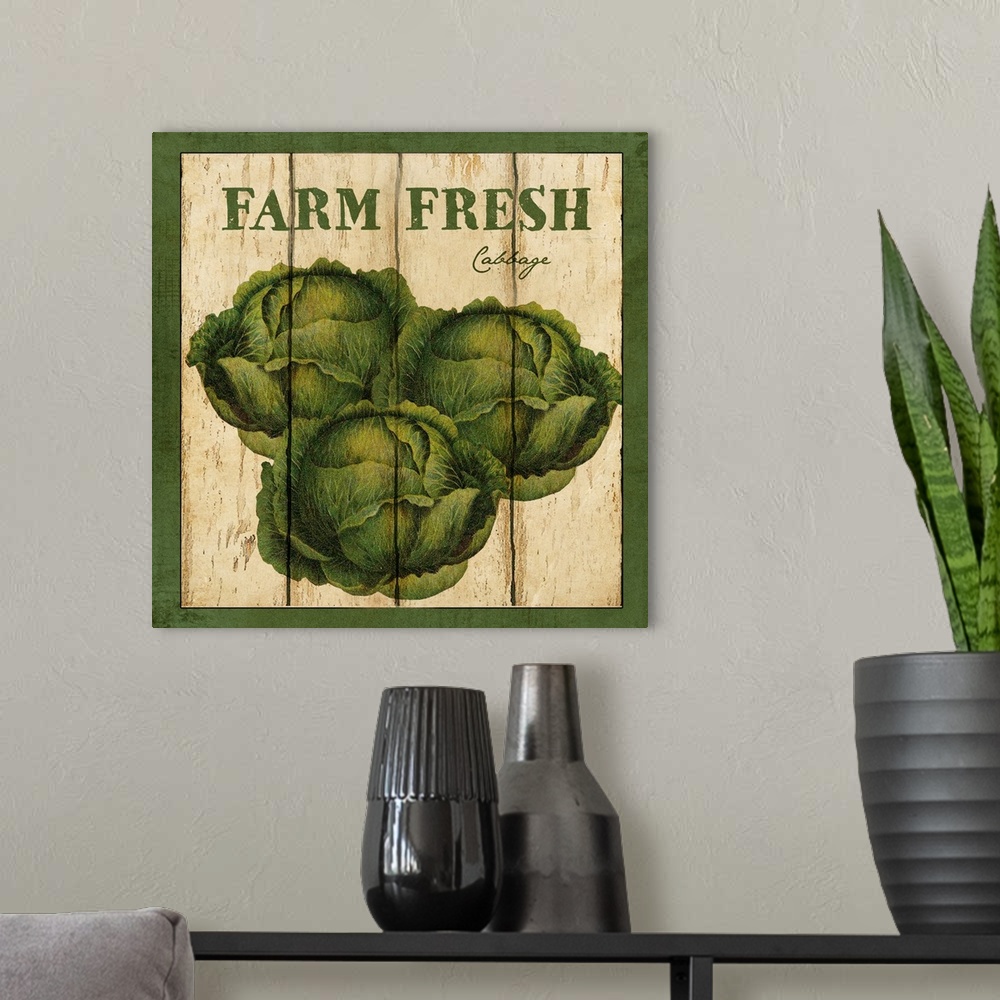 A modern room featuring Farm Fresh Cabbage