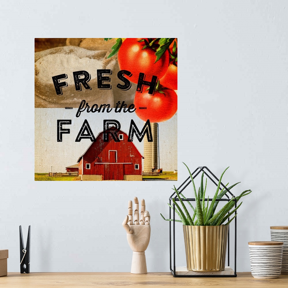 A bohemian room featuring Fresh From the Farm