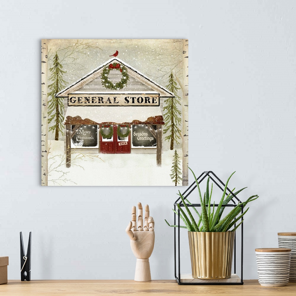 A bohemian room featuring General Store With Snow