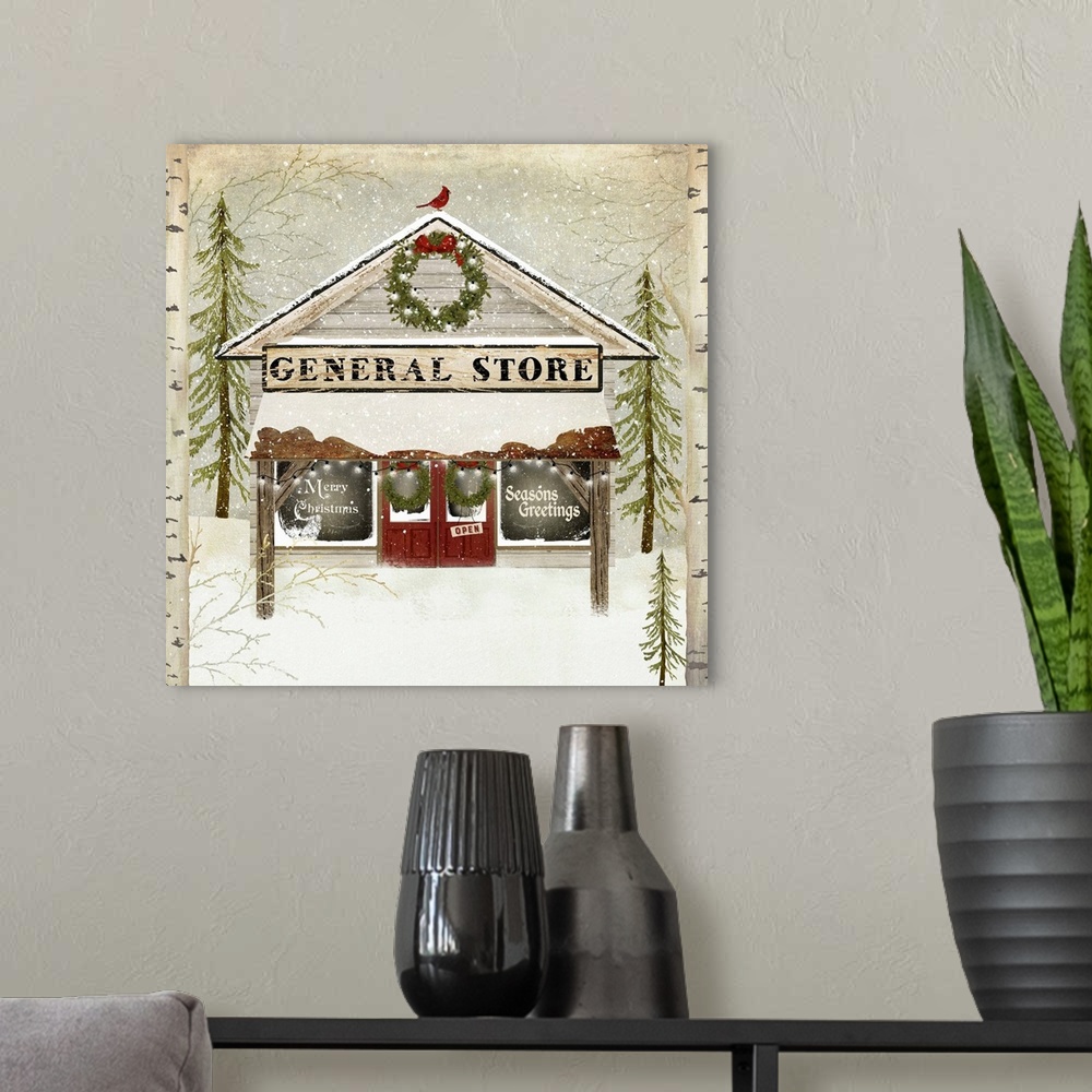A modern room featuring General Store With Snow