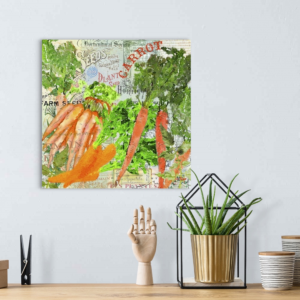 A bohemian room featuring Green Grocer Carrot